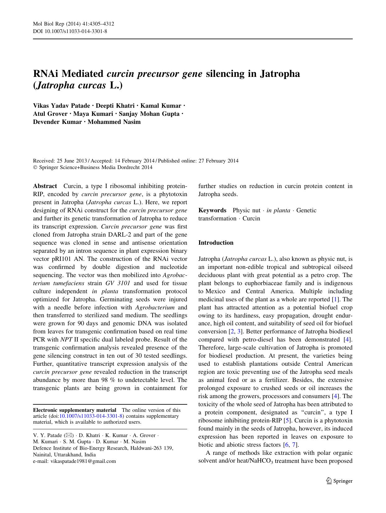 4305-4312 by Unknown