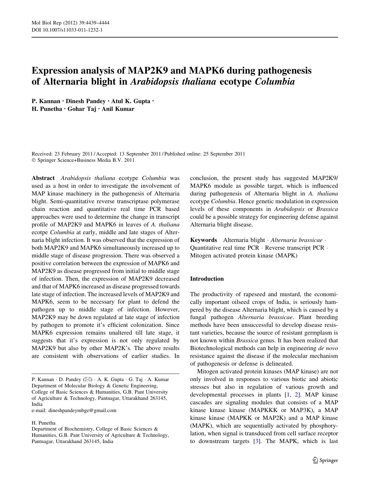 4439-4444 by Unknown