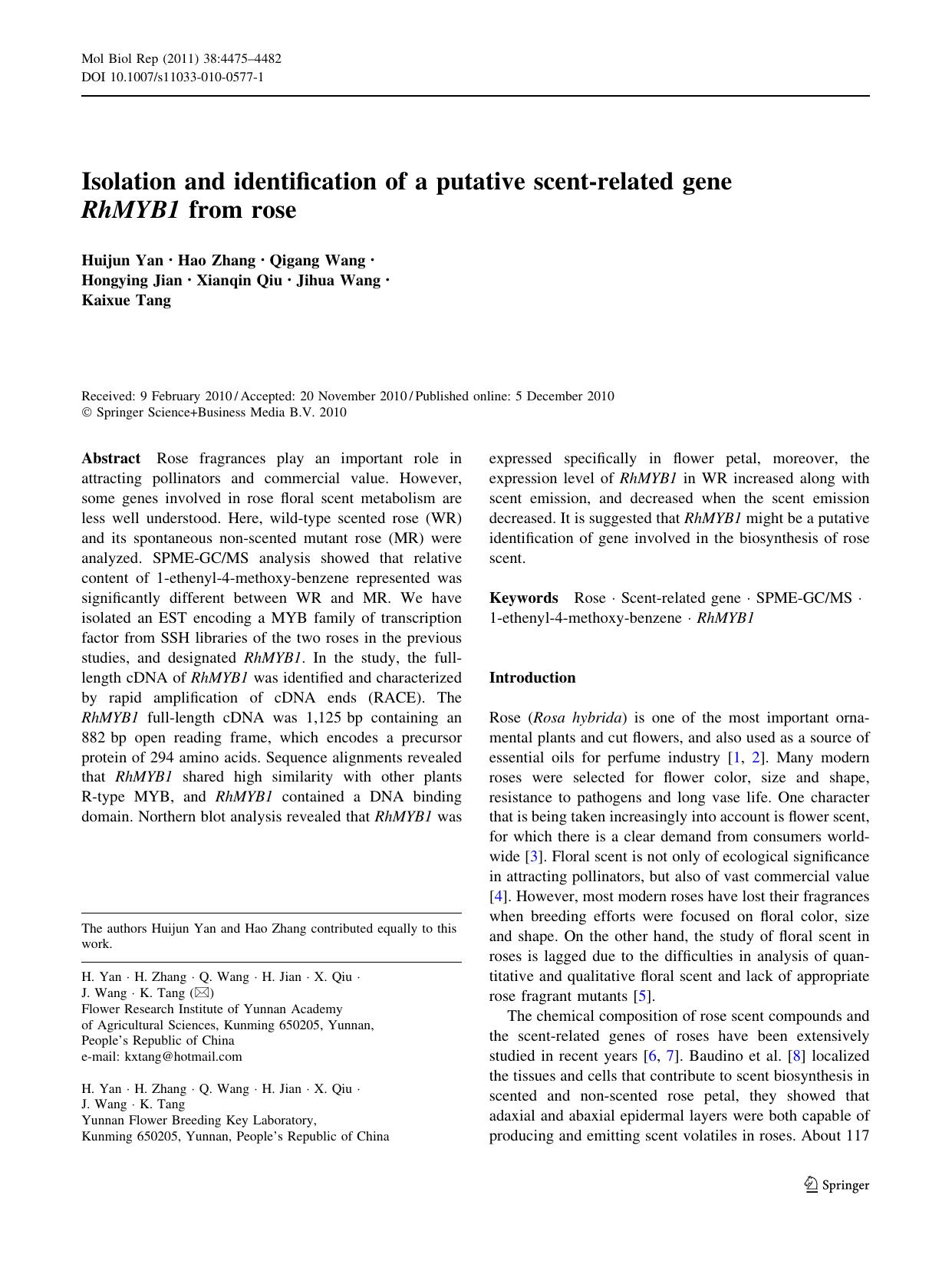 4475-4482 by Unknown