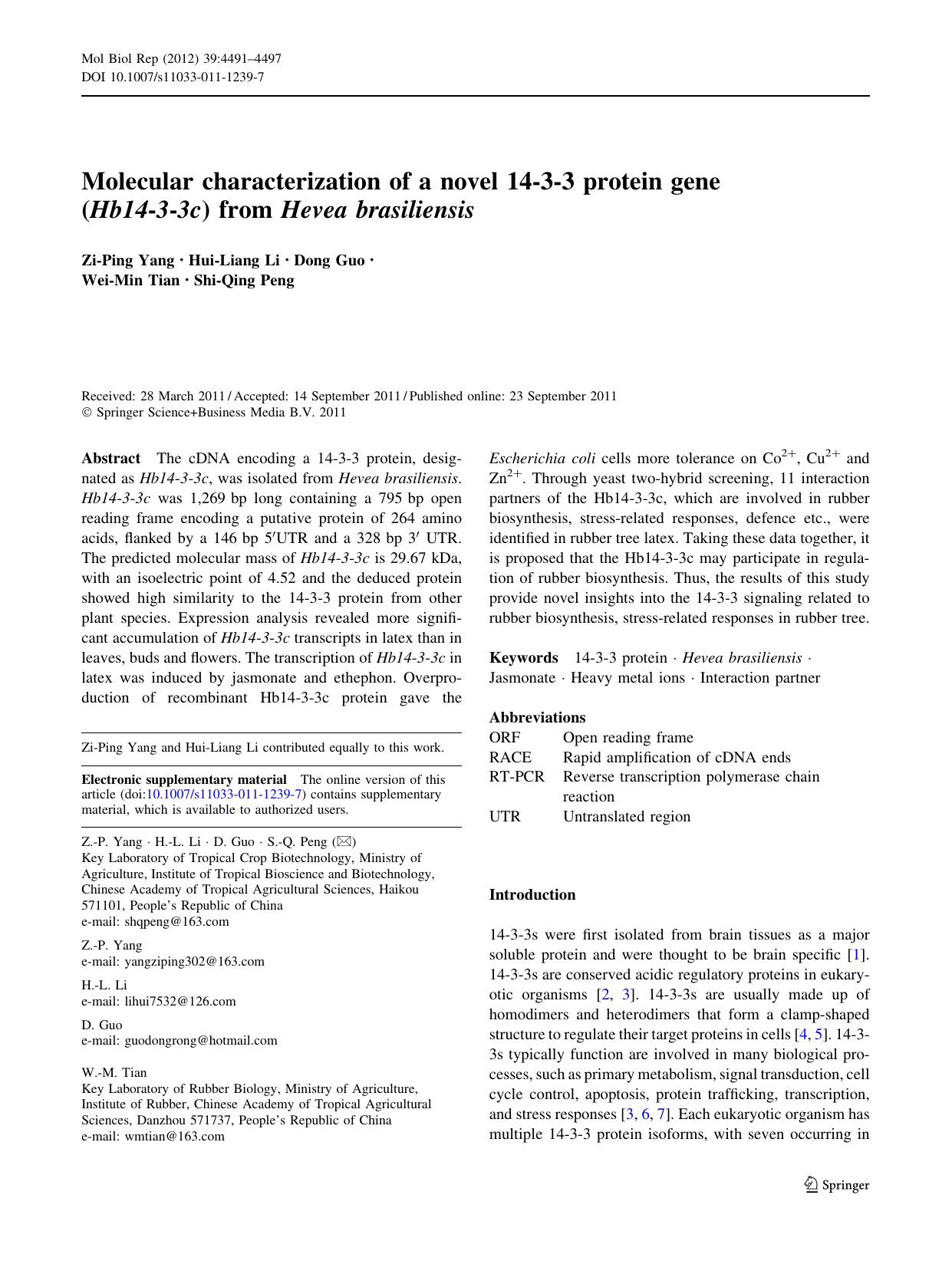 4491-4497 by Unknown