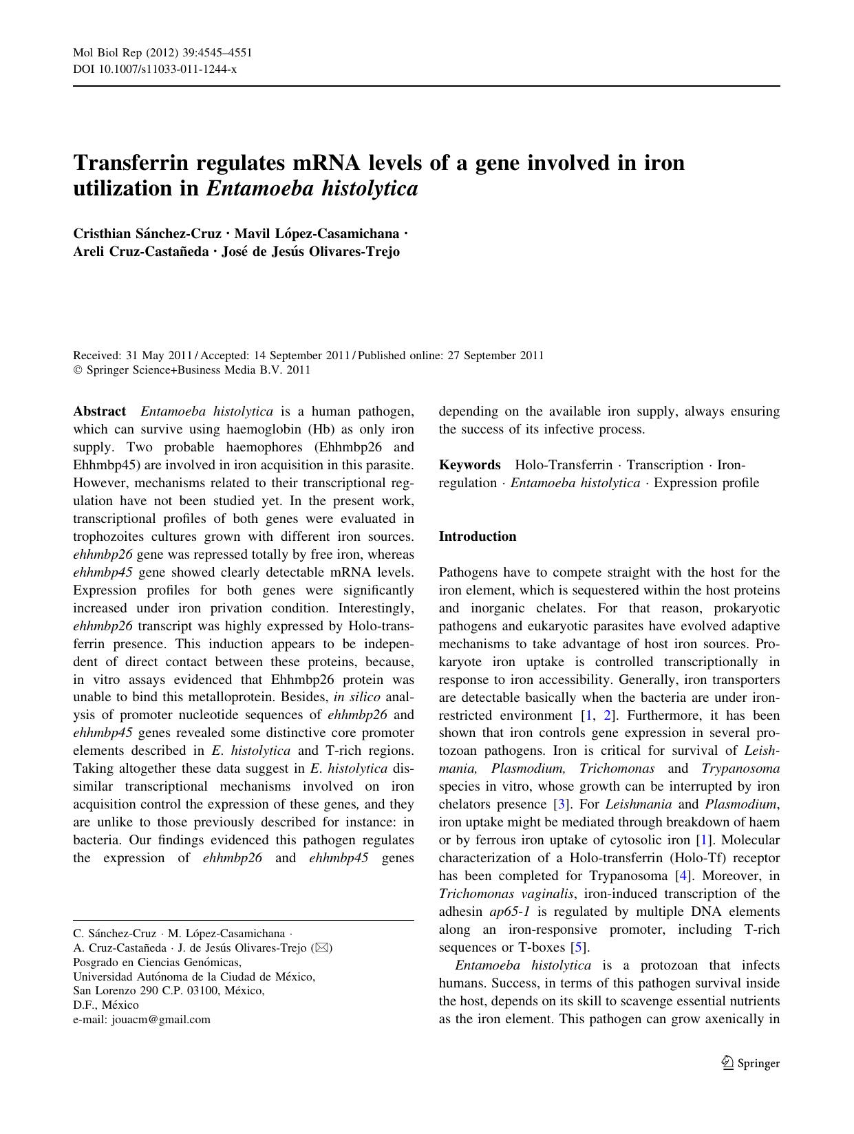 4545-4551 by Unknown