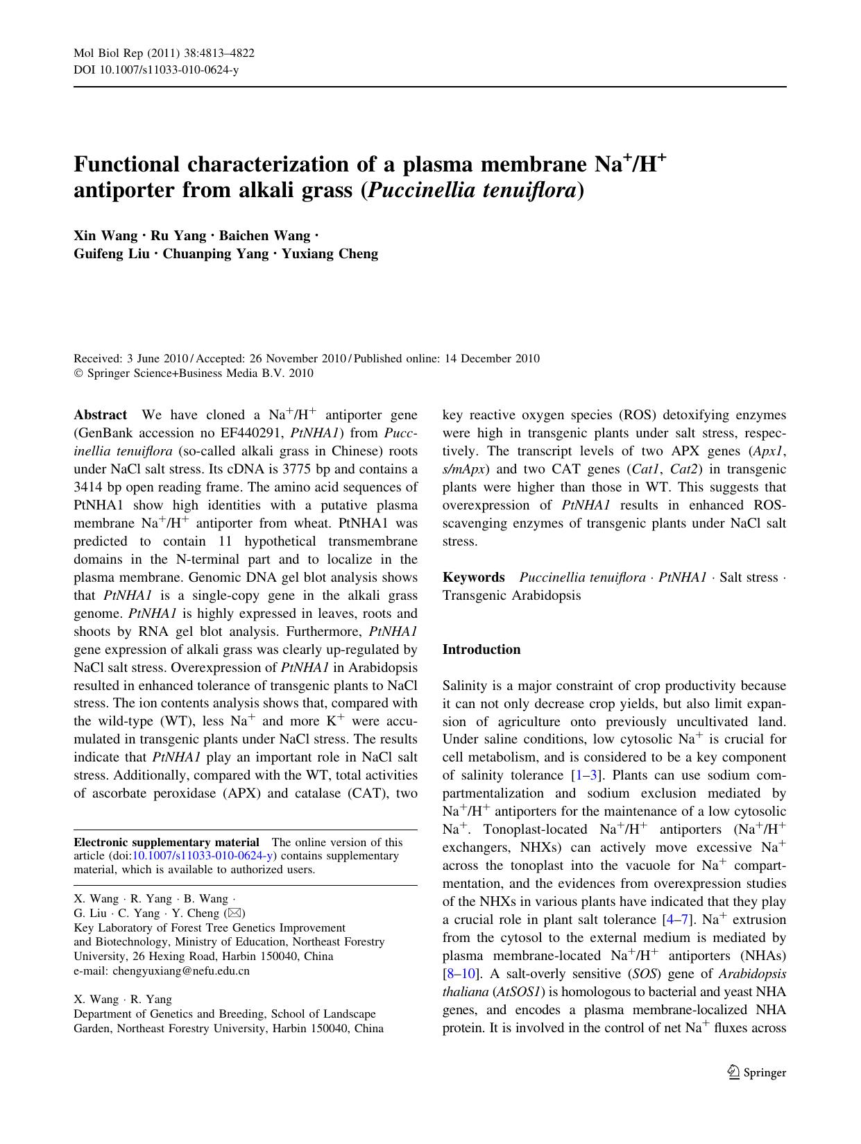 4813-4822 by Unknown