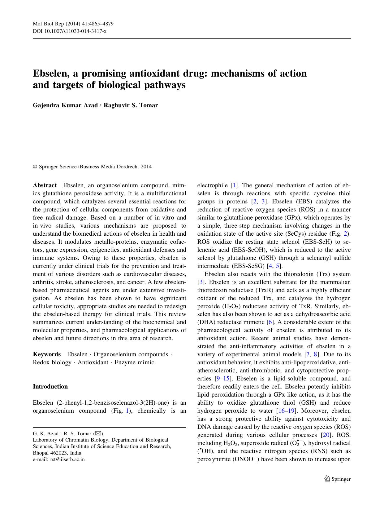 4865-4879 by Unknown