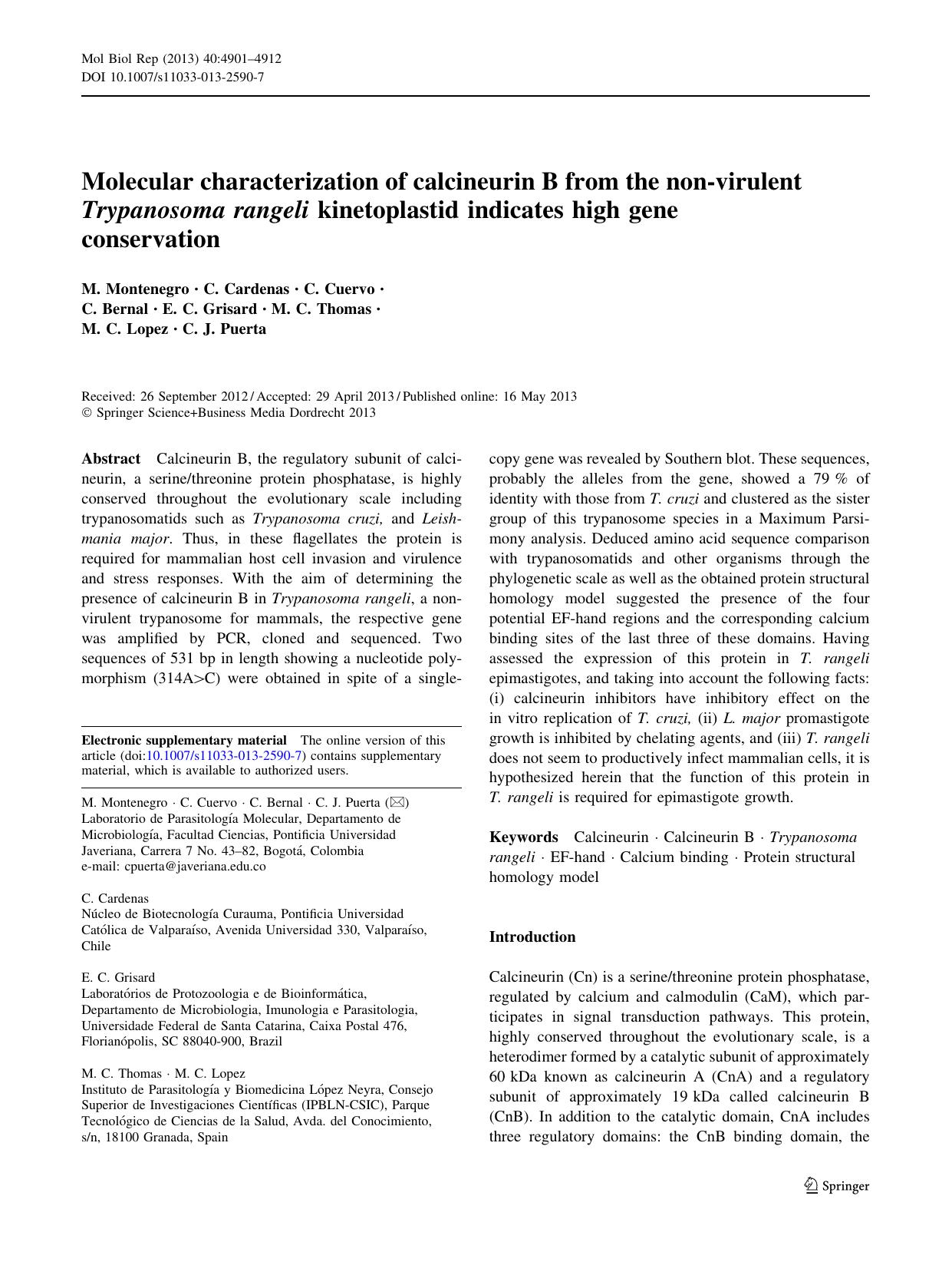 4901-4912 by Unknown