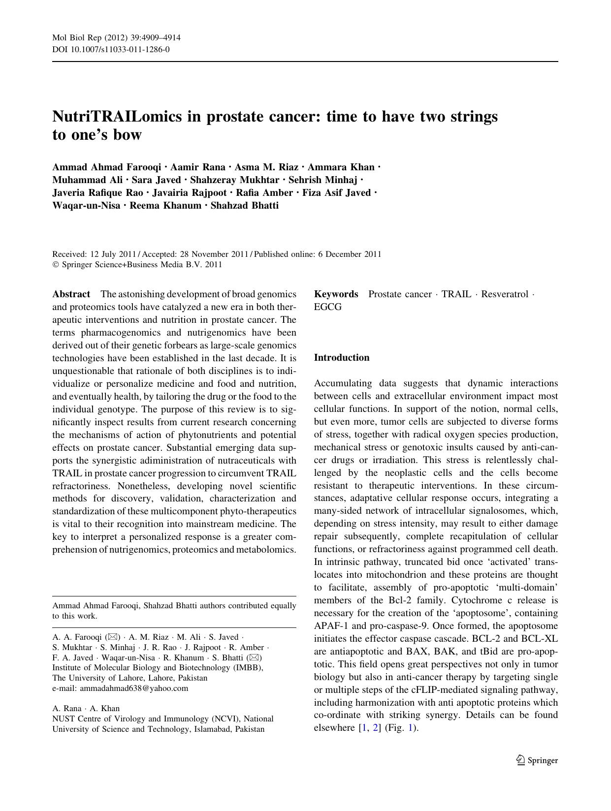 4909-4914 by Unknown