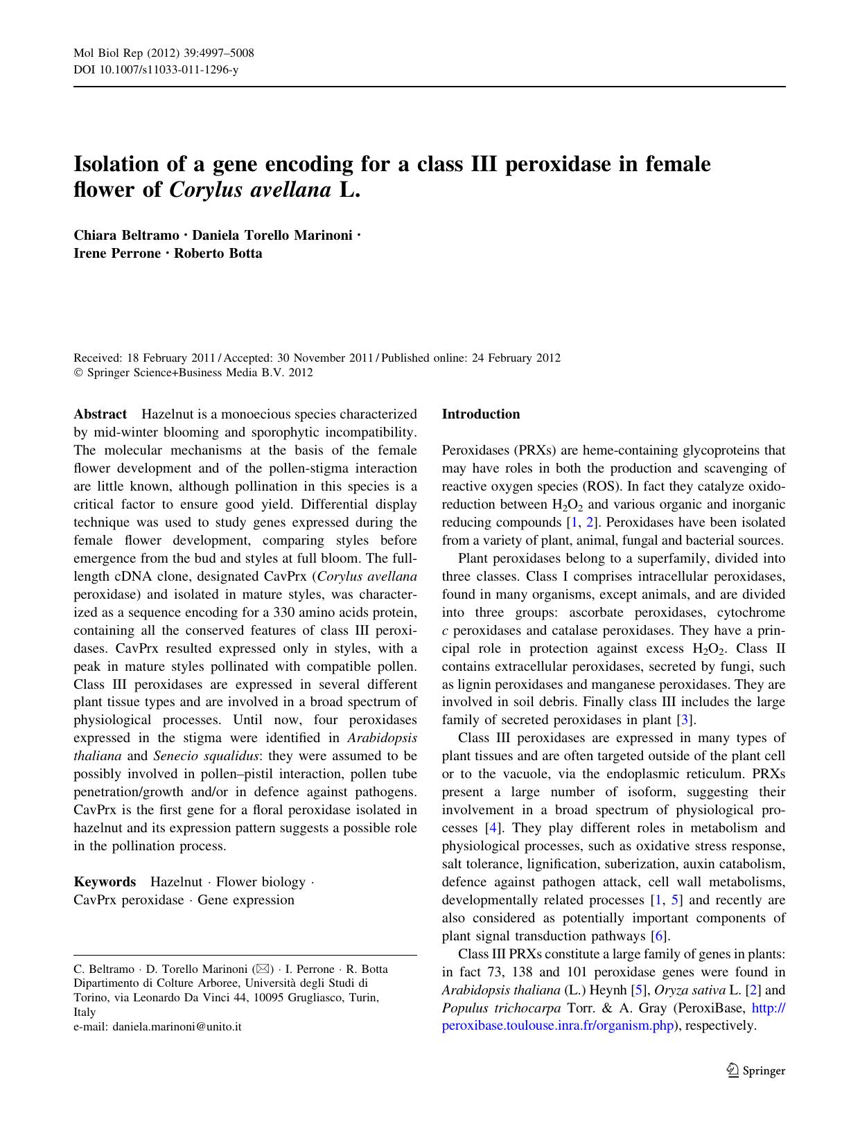 4997-5008 by Unknown