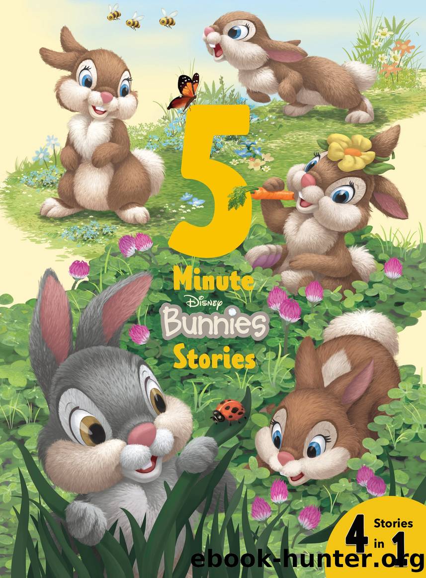 5-Minute Disney Bunnies Stories by Unknown