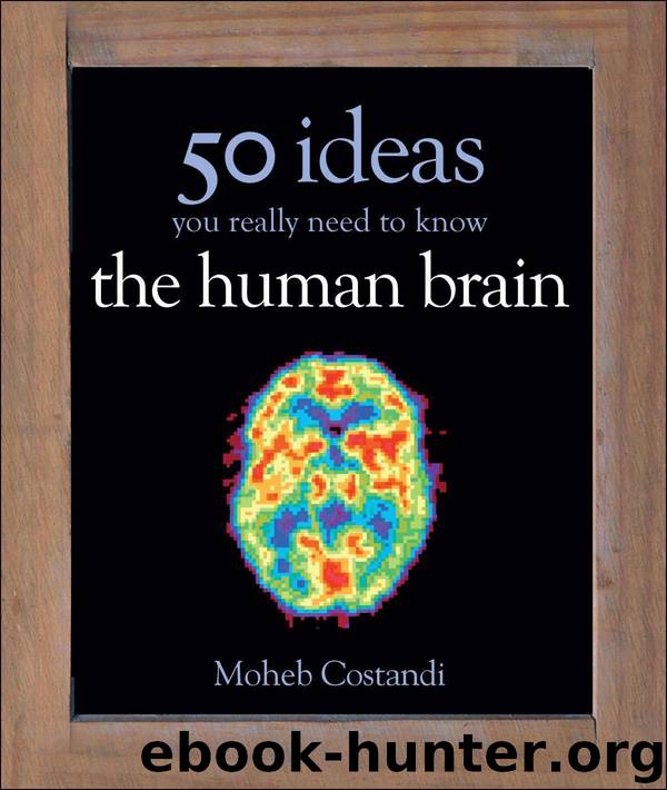 50 Human Brain Ideas You Really Need to Know (50 Ideas You Really Need to Know series) by Moheb Costandi