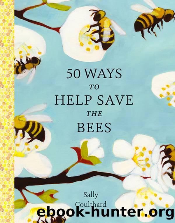 50 Ways to Help Save the Bees by Sally Coulthard
