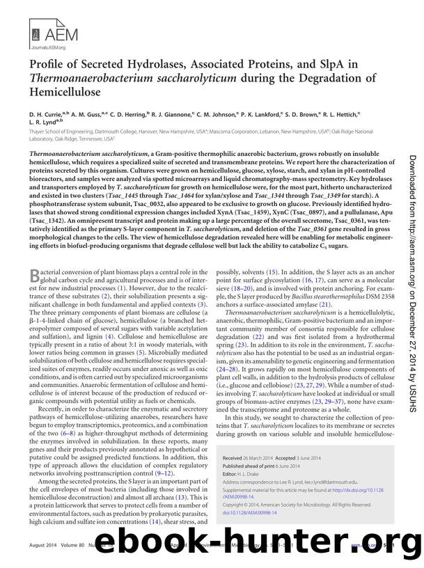 5001-5011 by Unknown