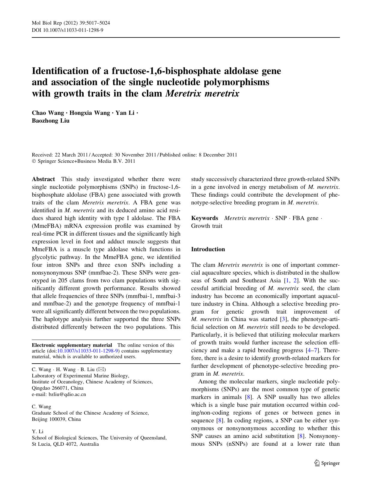 5017-5024 by Unknown