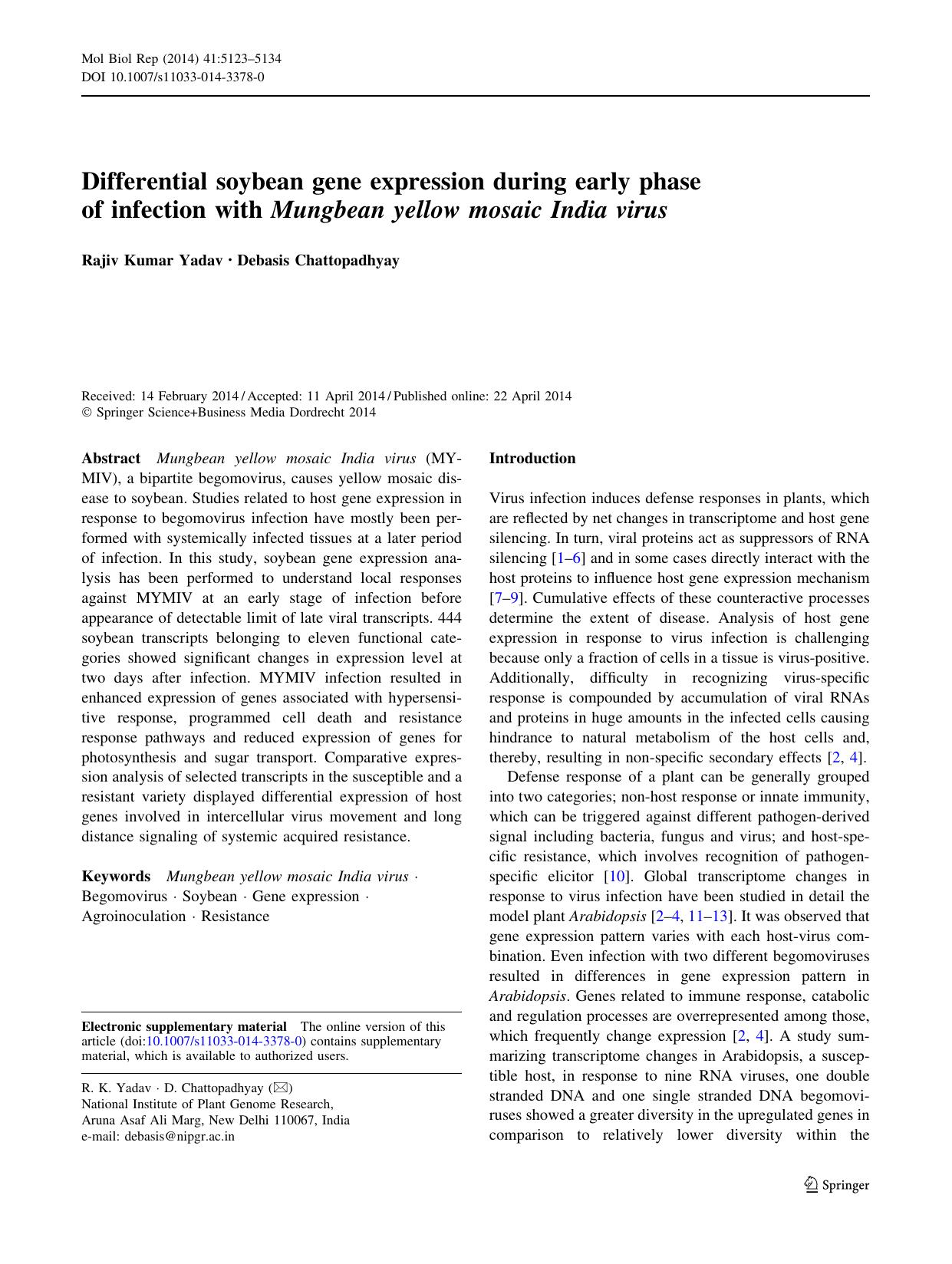 5123-5134 by Unknown