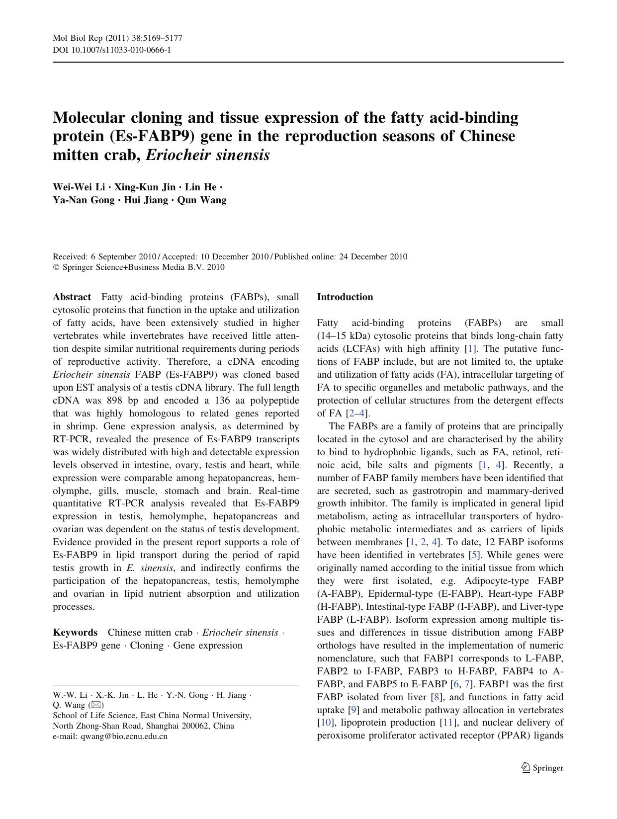 5169-5177 by Unknown