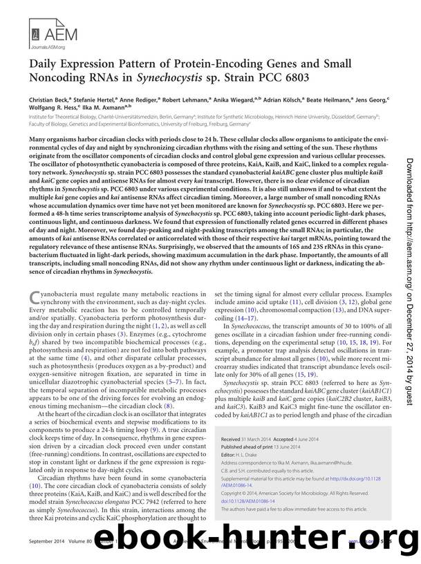 5195-5206 by Unknown