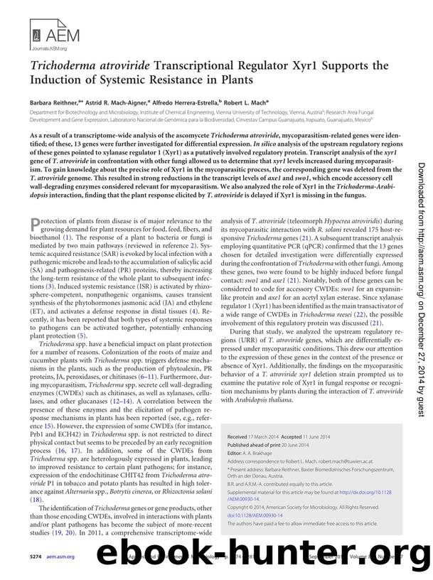 5274-5281 by Unknown