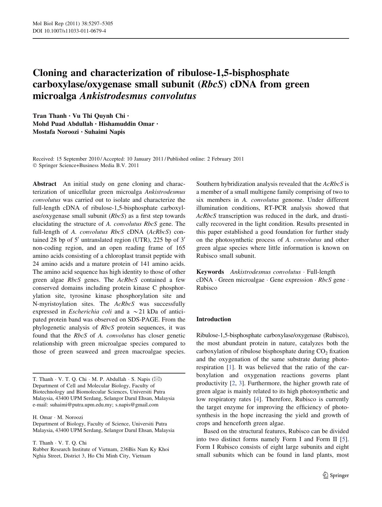 5297-5305 by Unknown