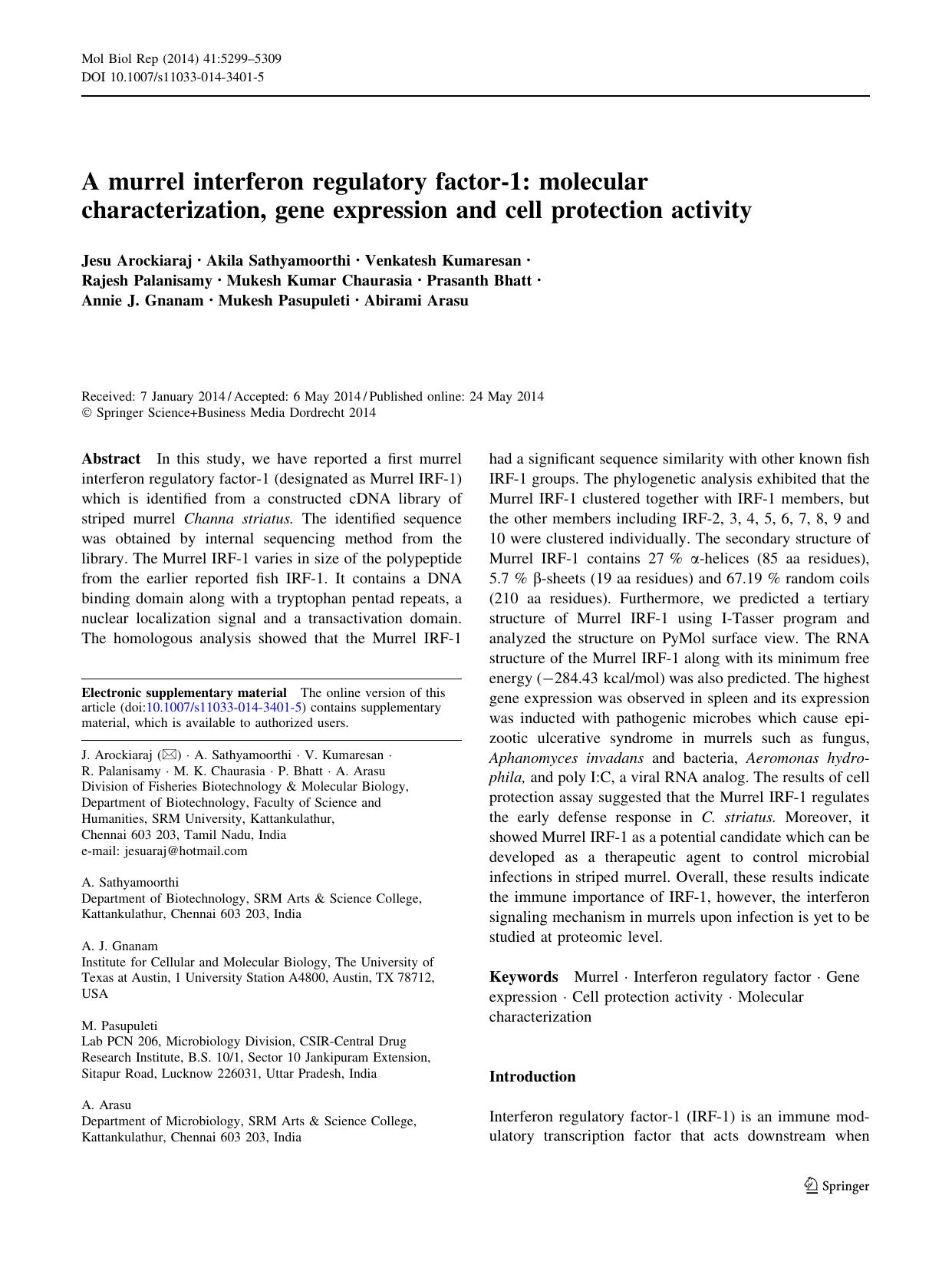 5299-5309 by Unknown