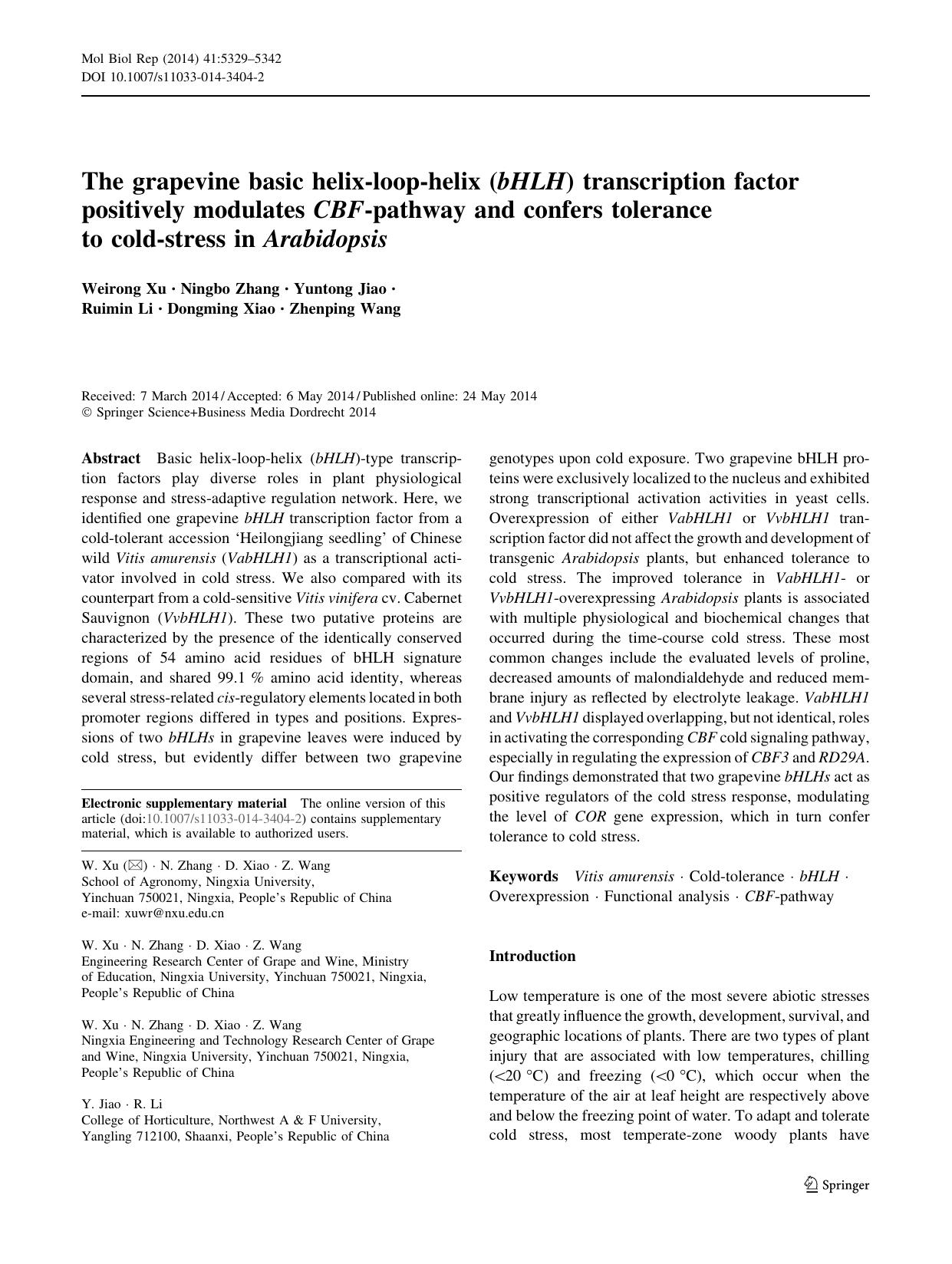 5329-5342 by Unknown