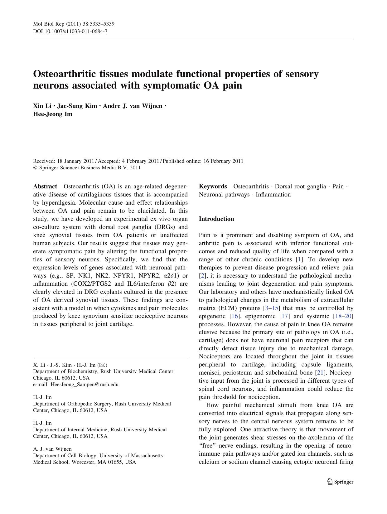 5335-5339 by Unknown