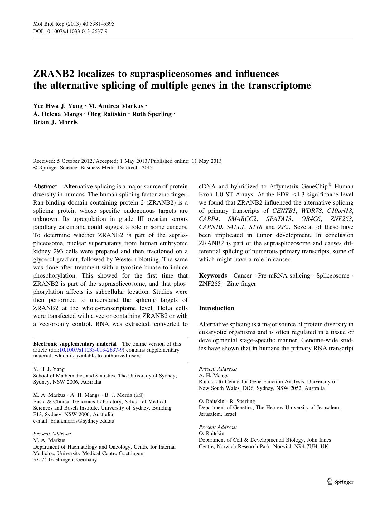 5381-5395 by Unknown