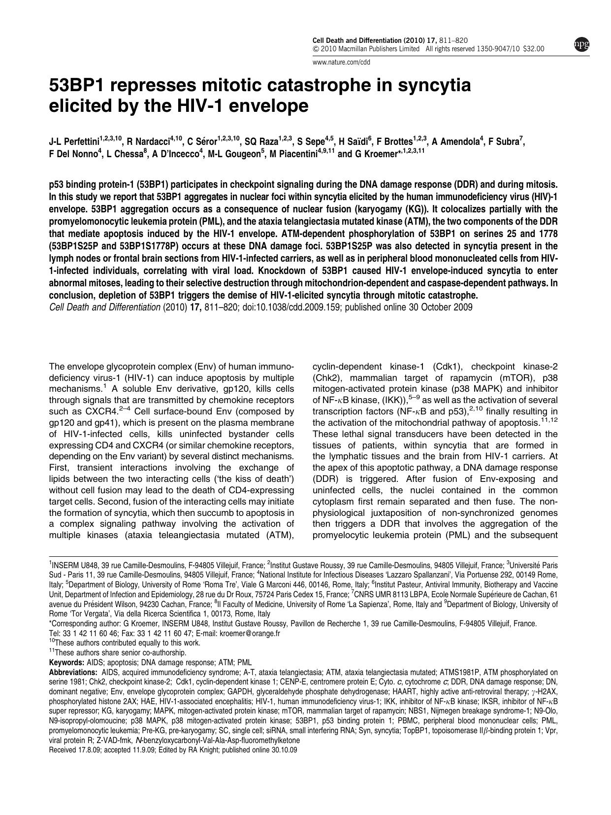 53BP1 represses mitotic catastrophe in syncytia elicited by the HIV-1 envelope by unknow