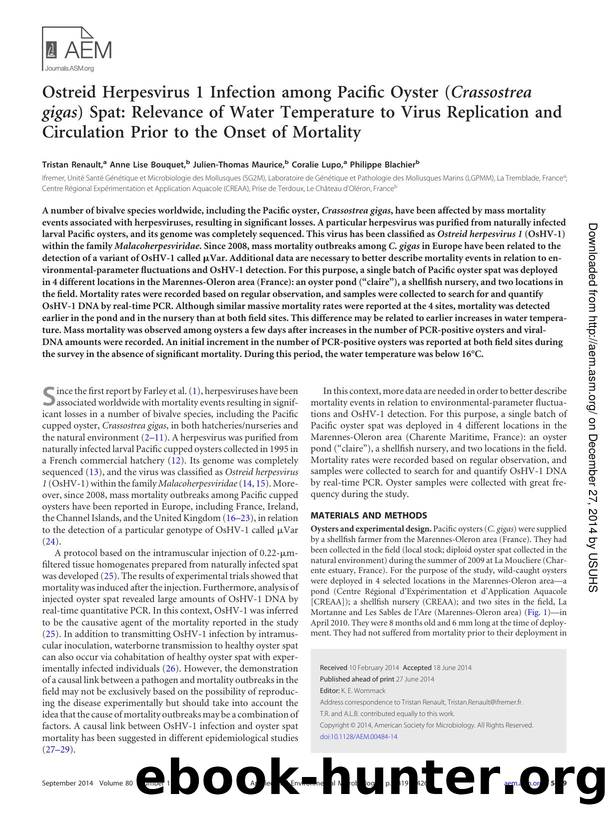 5419-5426 by Unknown