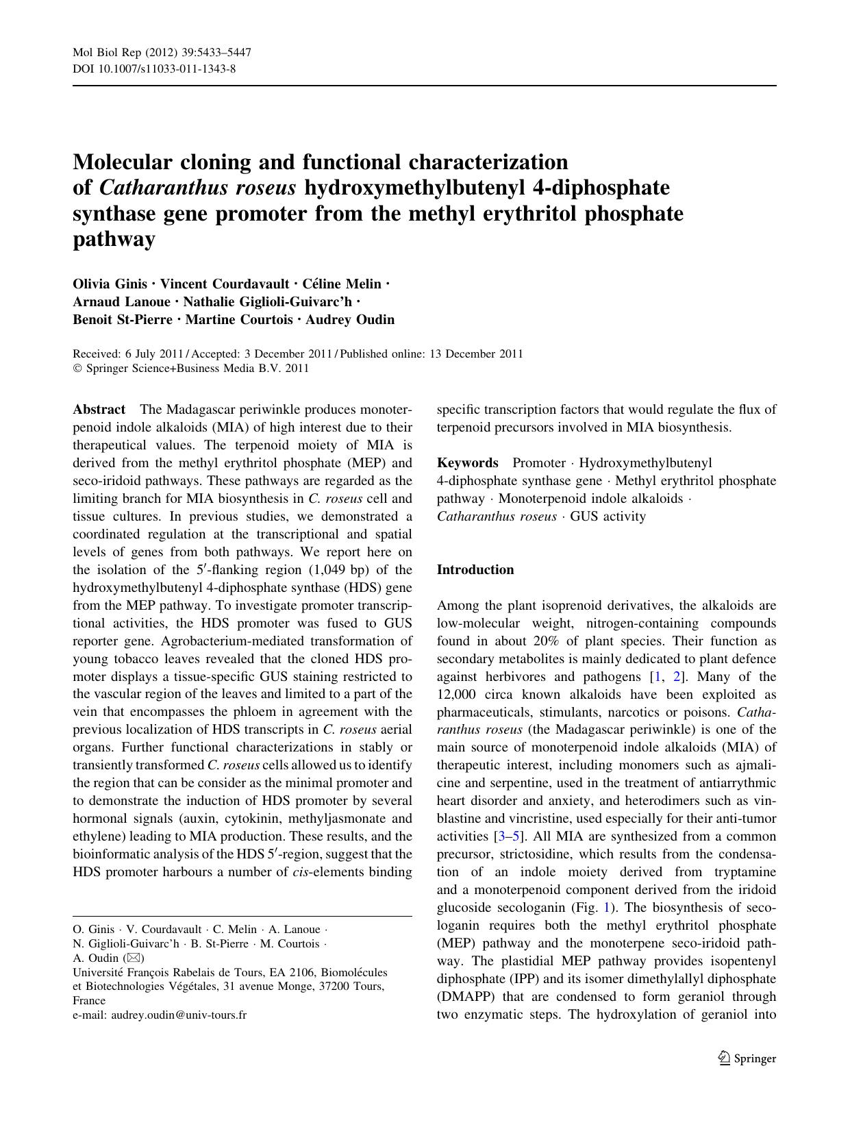 5433-5447 by Unknown