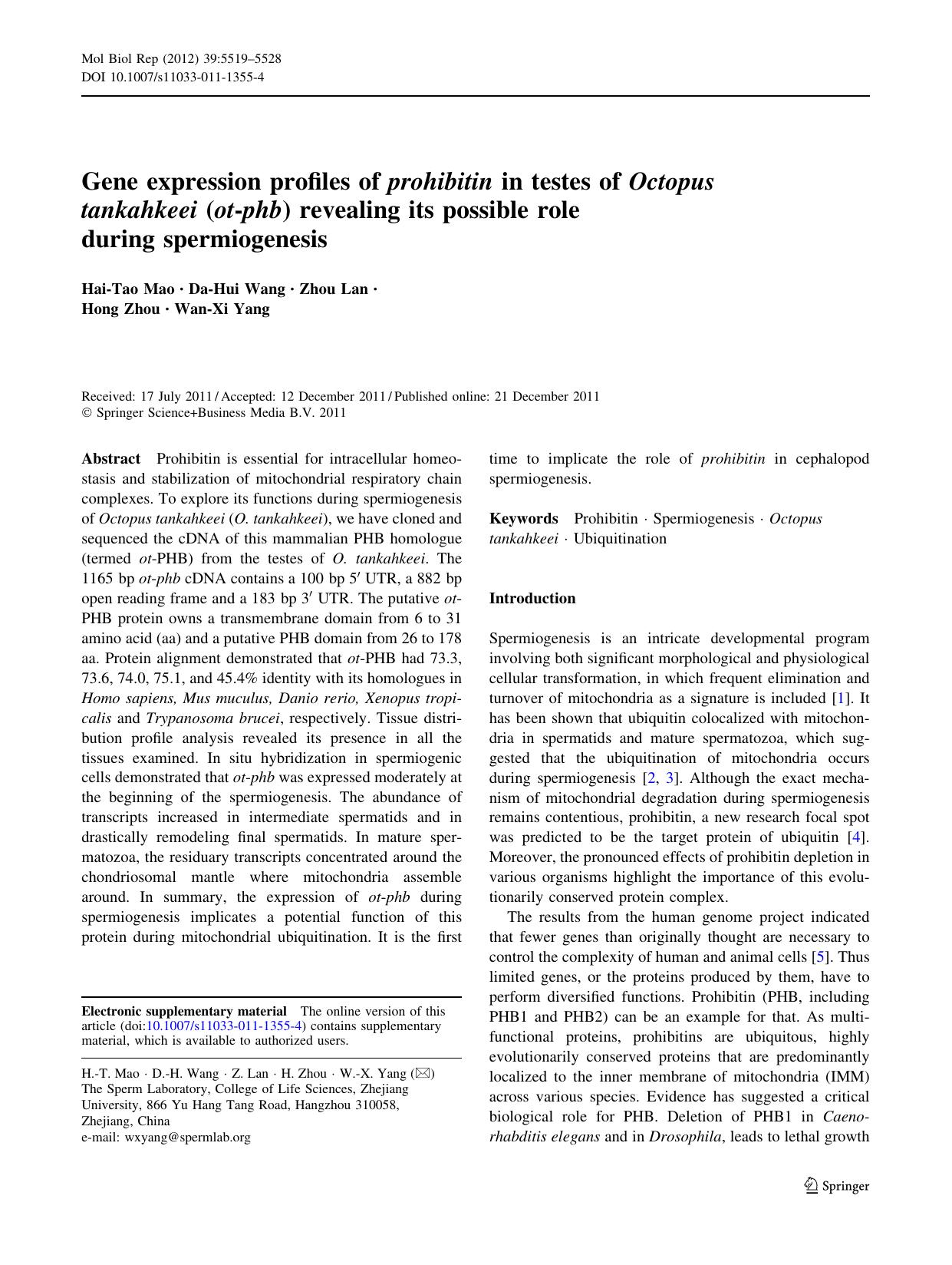 5519-5528 by Unknown