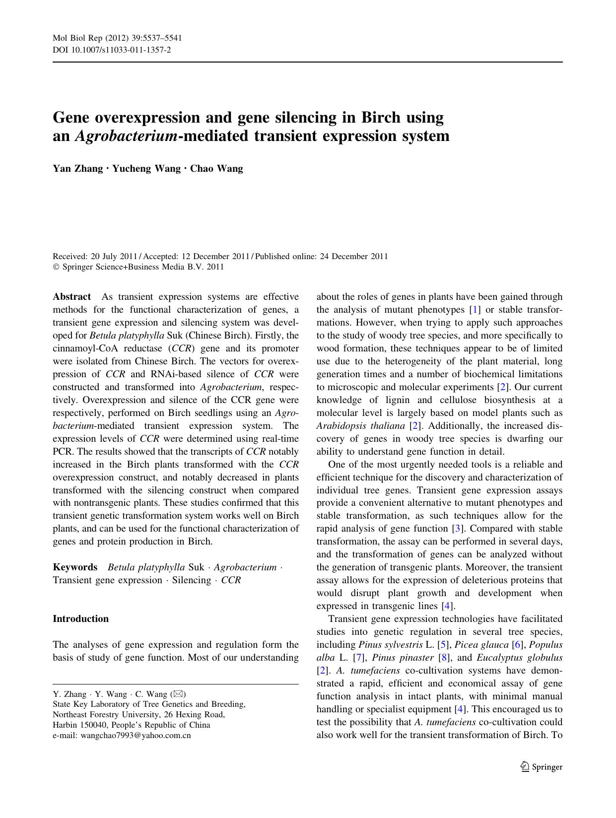 5537-5541 by Unknown