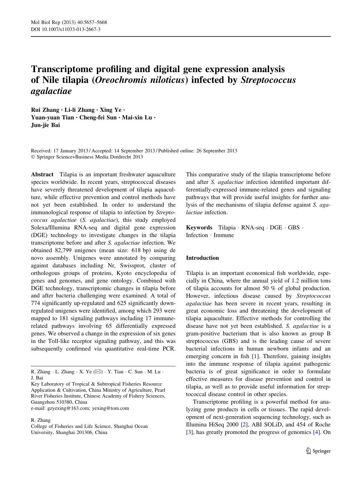 5657-5668 by Unknown