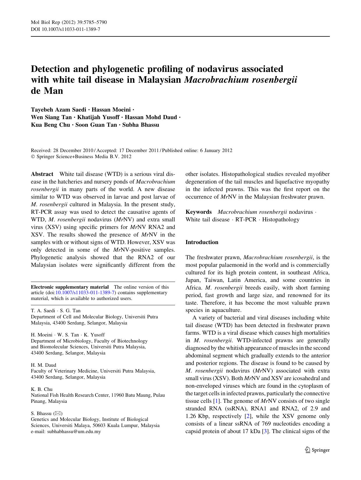 5785-5790 by Unknown