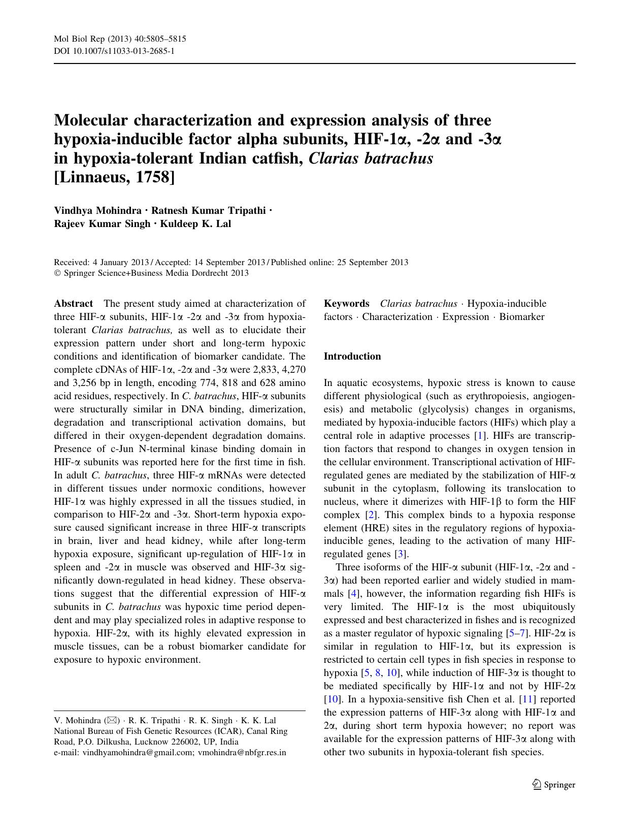 5805-5815 by Unknown