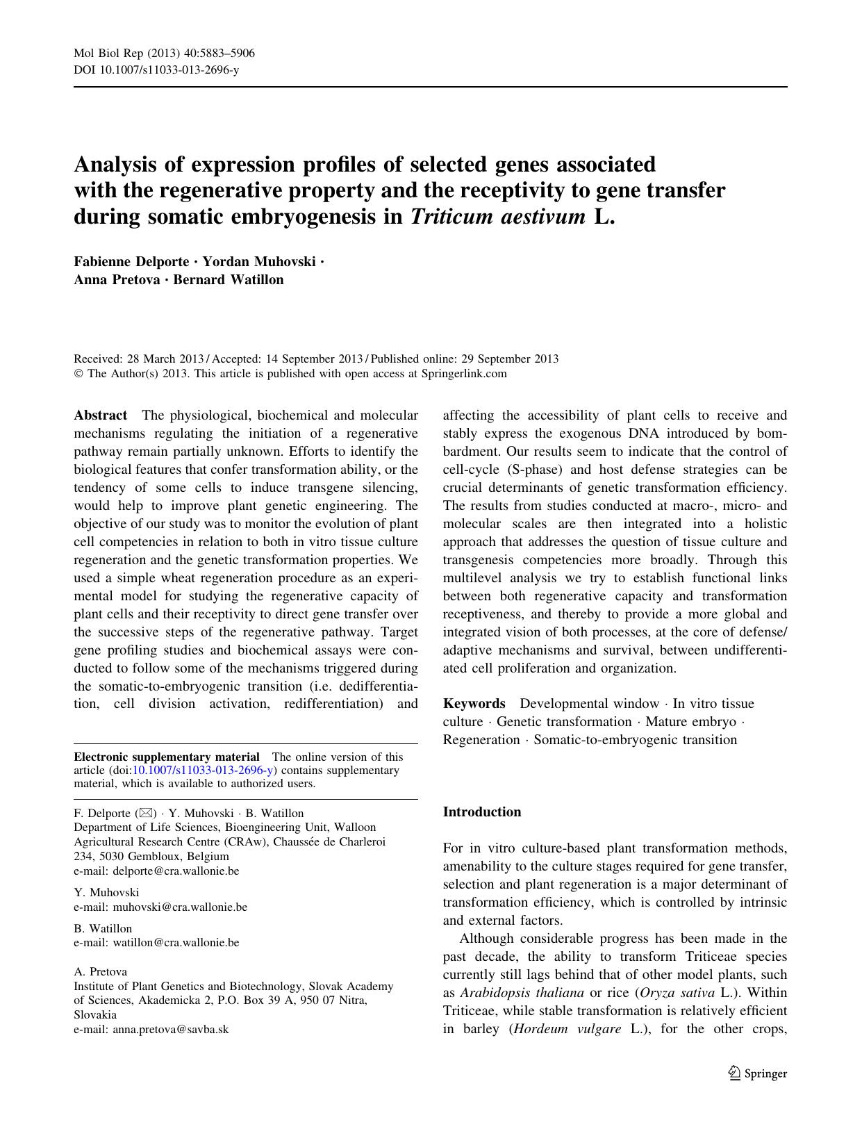 5883-5906 by Unknown