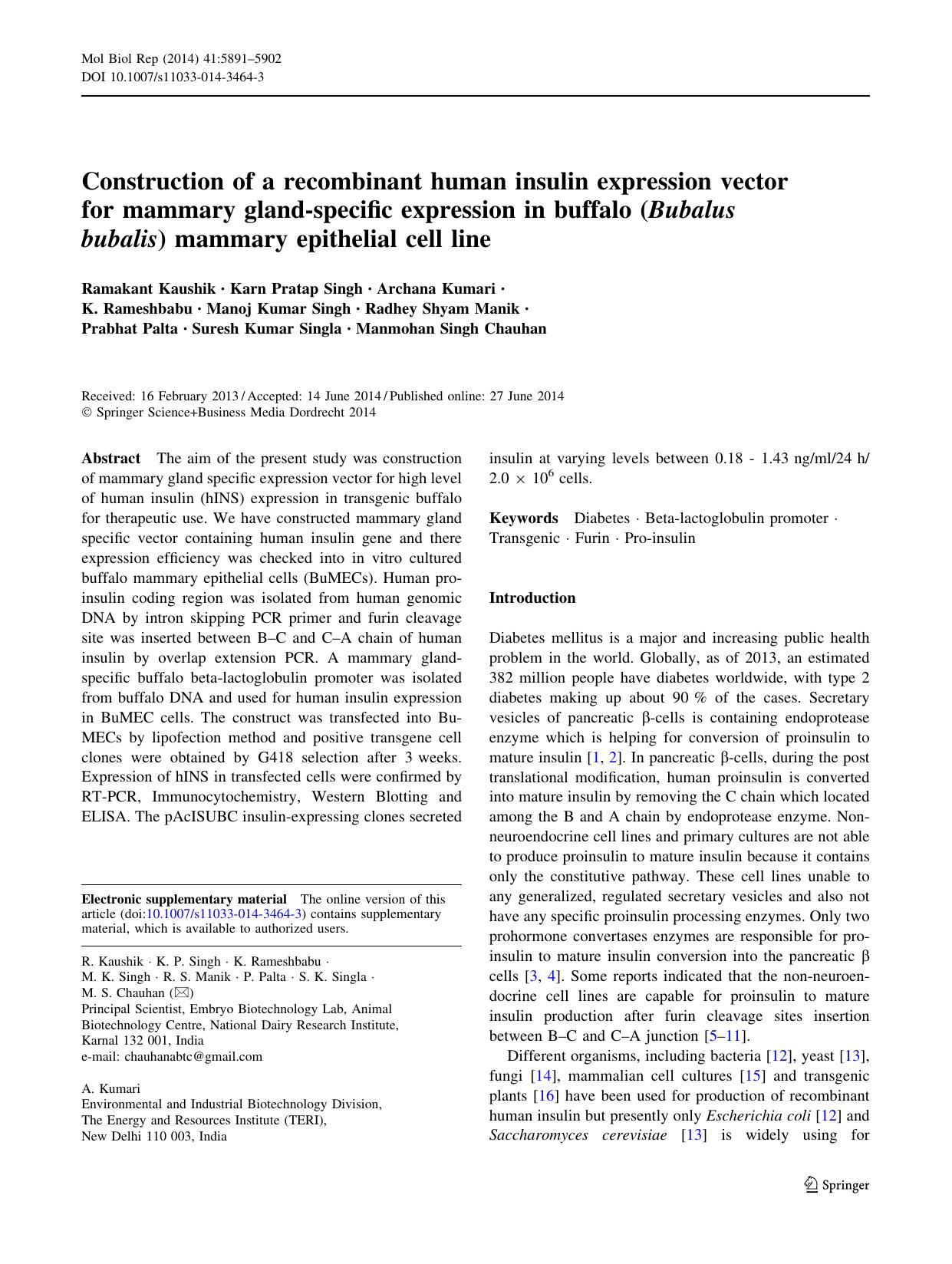 5891-5902 by Unknown