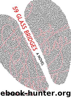 59 Glass Bridges by Steven Peters