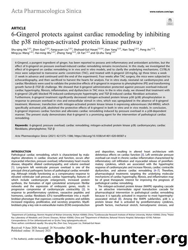6-Gingerol protects against cardiac remodeling by inhibiting the p38 mitogen-activated protein kinase pathway by unknow