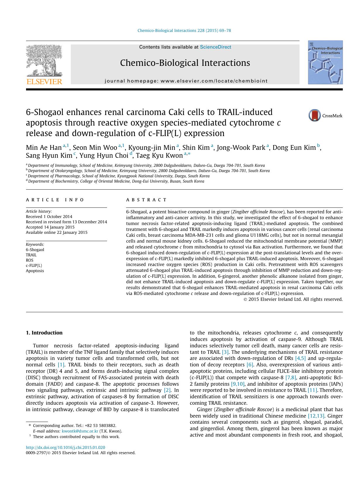 6-Shogaol enhances renal carcinoma Caki cells to TRAIL-induced apoptosis through reactive oxygen species-mediated cytochrome c release and down-regulation of c-FLIP(L) expression by unknow