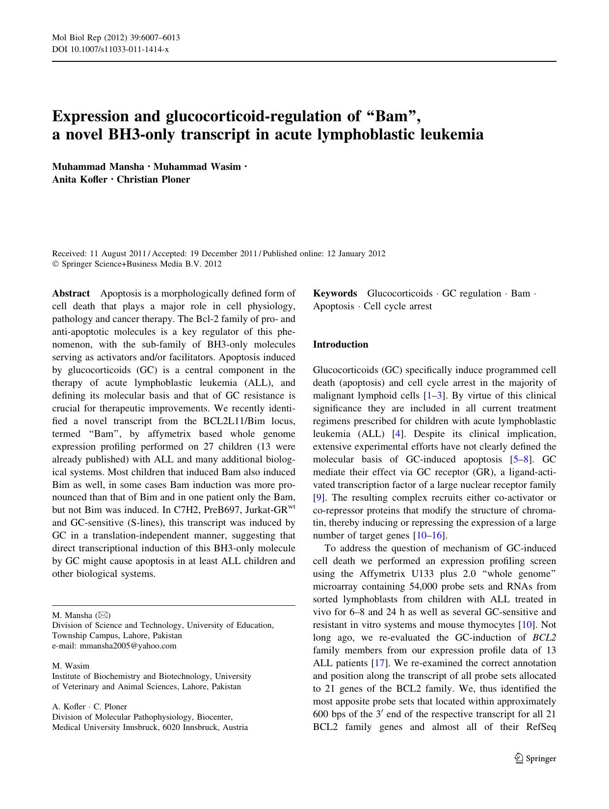 6007-6013 by Unknown