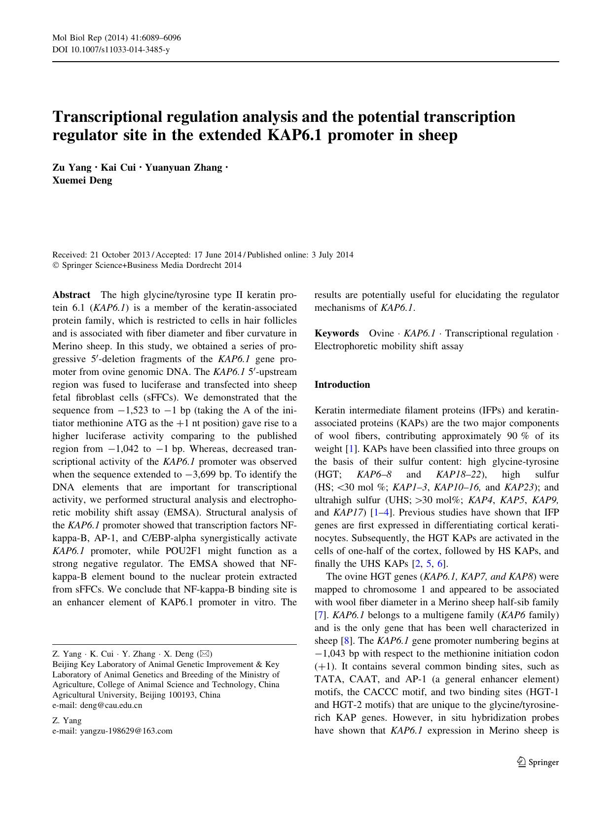 6089-6096 by Unknown