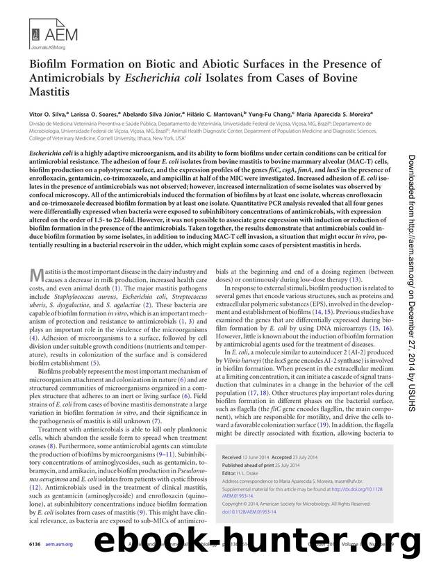 6136-6145 by Unknown