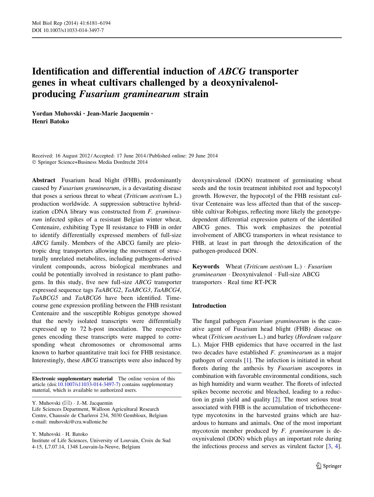 6181-6194 by Unknown