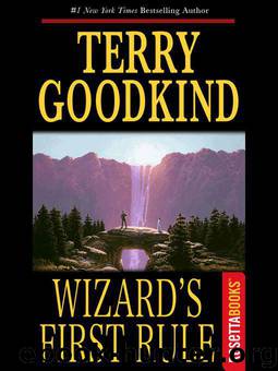 62.01 Wizard's First Rule by Goodkind Terry