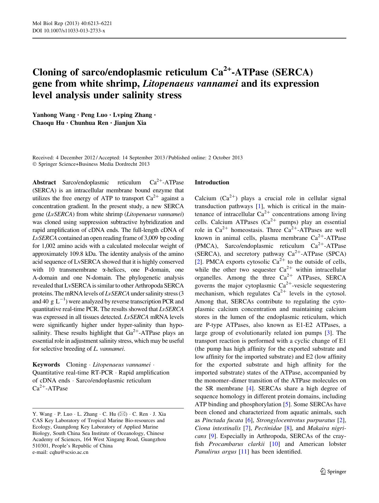 6213-6221 by Unknown