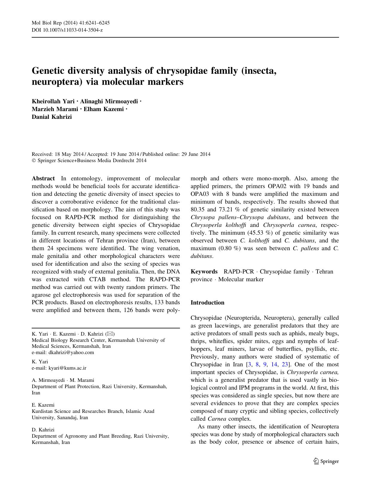 6241-6245 by Unknown