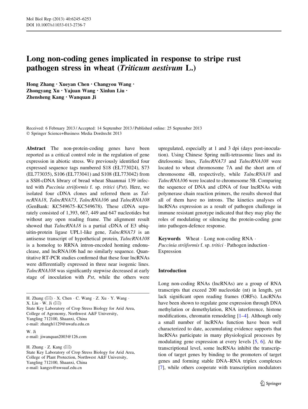 6245-6253 by Unknown