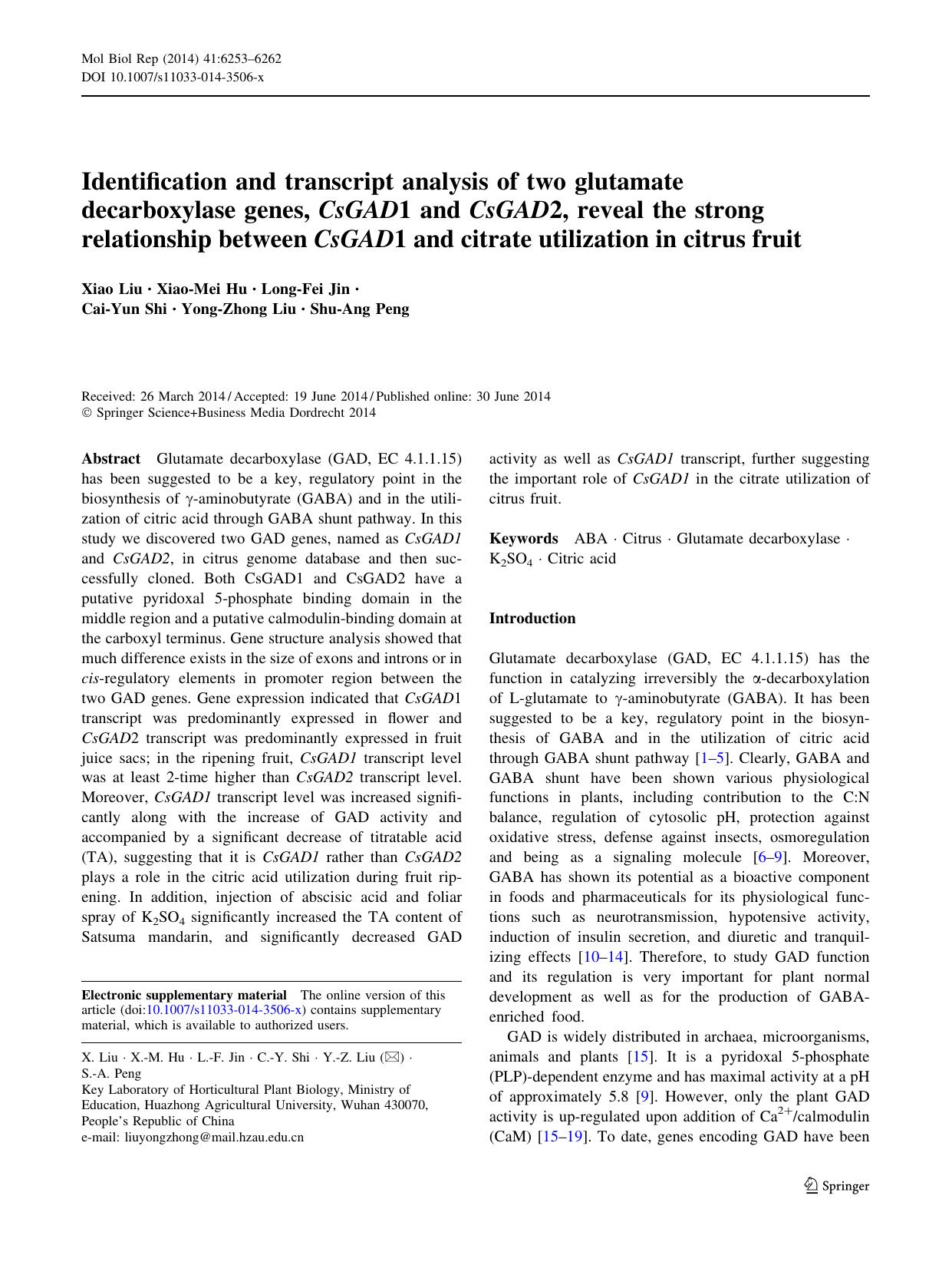 6253-6262 by Unknown