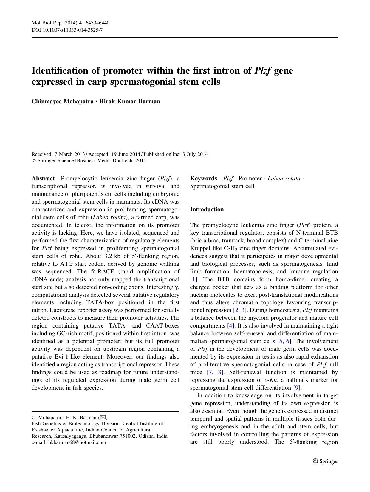 6433-6440 by Unknown