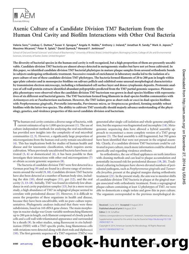 6480-6489 by Unknown