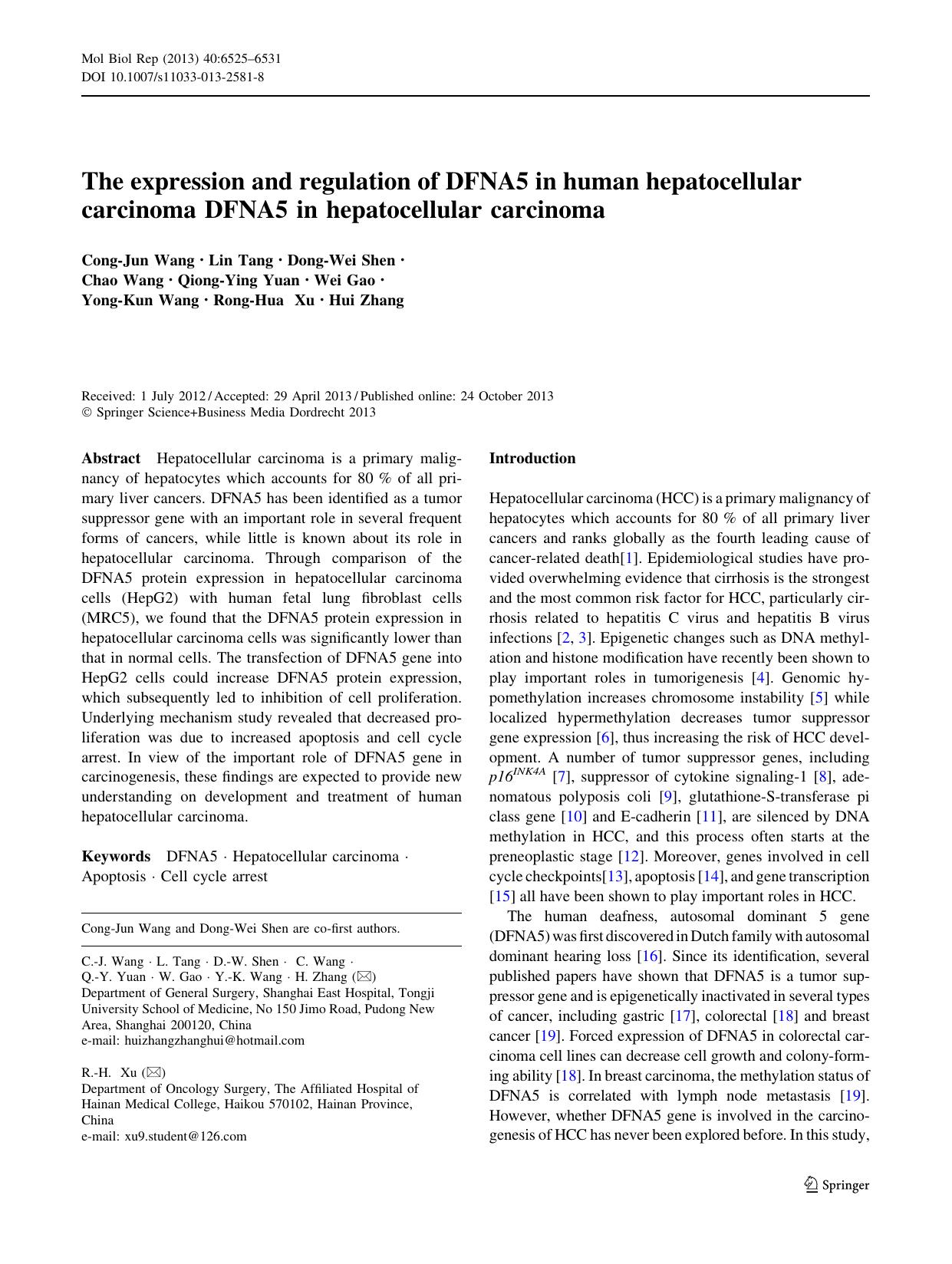 6525-6531 by Unknown