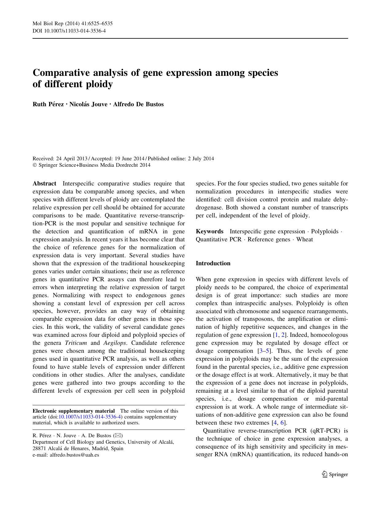 6525-6535 by Unknown